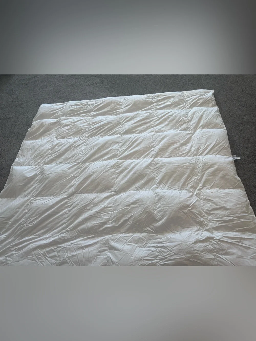 Legends Hotel Alberta medium warmth down comforter